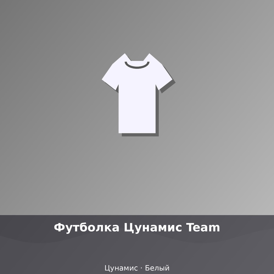 Футболка Цунамис Team
